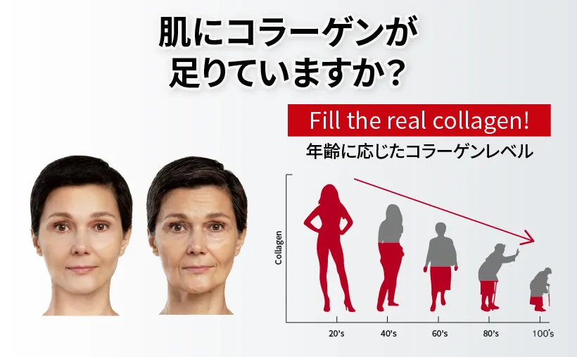 [ビューディアニ] インフュージングコラーゲンコンセントレートフルードフルイド | 詳細画像7